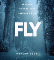 Fly