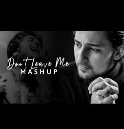 Don't Leave Me Mashup