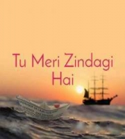 Tu Meri Zindagi Hai