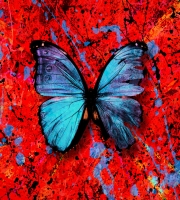 Ed Sheeran - Shivers Song