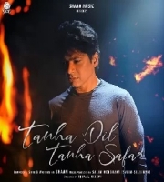 Tanha Dil Tanha Safar - Shaan