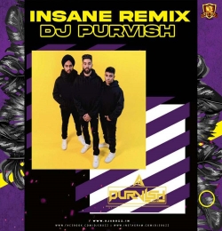 Insane Remix DJ Purvish