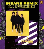 Insane Remix DJ Purvish