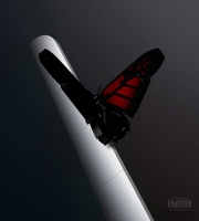 Post Malone - Doja Cat