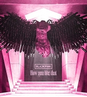 How You Like That Song - BLACKPINK(Japan Version)