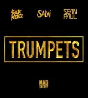 Sean Paul - Trumpets - Sak Noel & Salvi