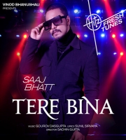 Tere Bina - Saaj Bhatt