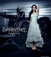 Evanescence - Bring Me To Life Song
