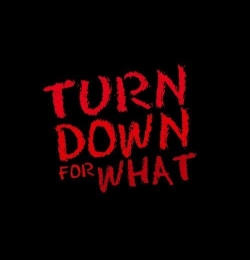 Turn Down for What - DJ Snake ft. Lil Jon